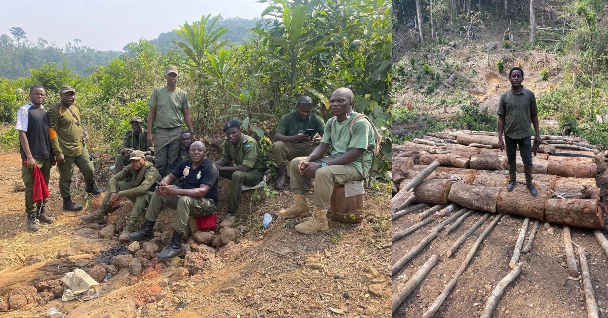 NPAA Arrests 11 for Illegal Charcoal Burning in Western Area Peninsula National Park