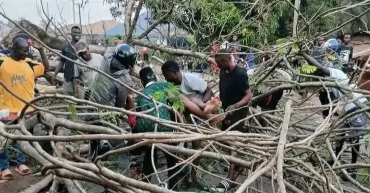 One Dead, Others Injured as Tree Falls on Motorbike in Kenema