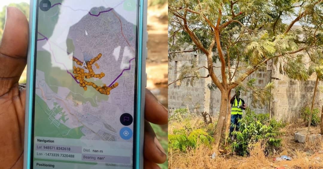 Freetown City Council Relaunches Universal Tree Tracking Initiative to Boost Climate Resilience