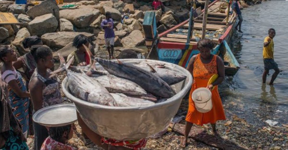 Fishmongers Flag Shortage and High Prices of Fish Amid Artisanal Ban