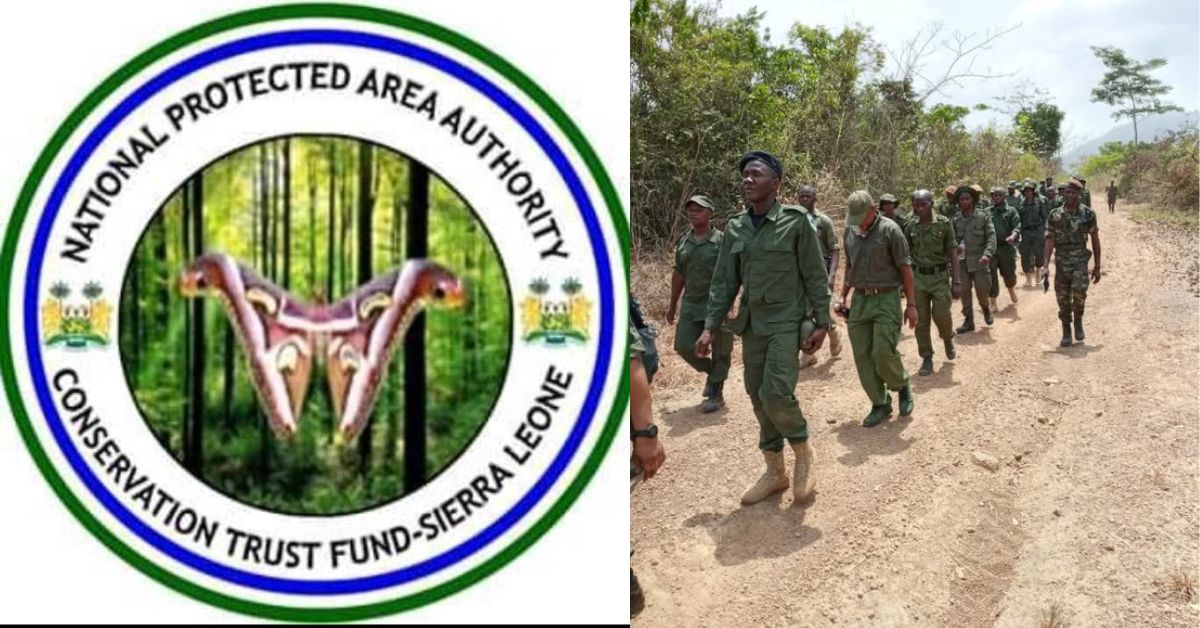 NPAA Takes 23 to Court for Deforestation and Charcoal Burning in National Protected Park