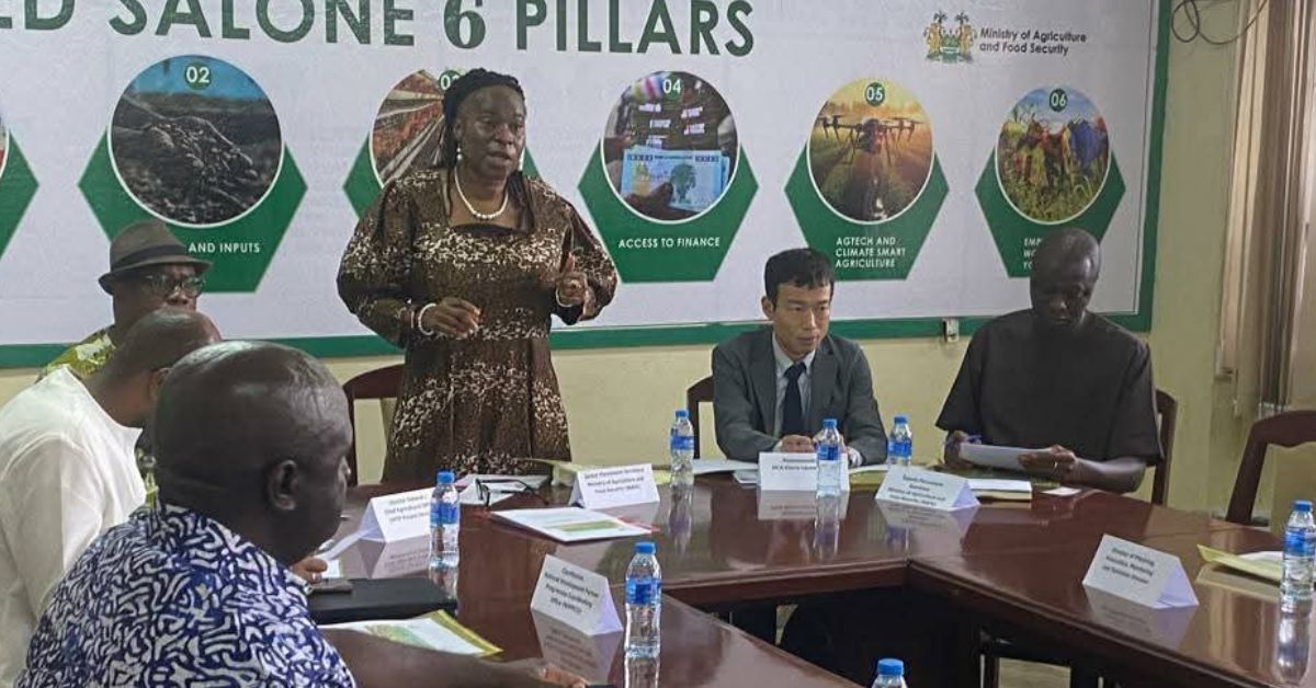Agriculture Ministry and JICA Review Progress of Rice Productivity Improvement Project