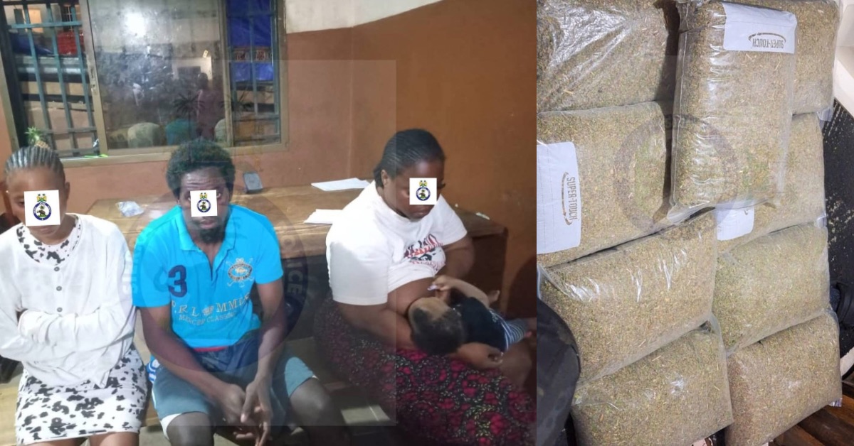 Breastfeeding Mother, Two Others Arrested in Freetown Over Alleged Kush Possession