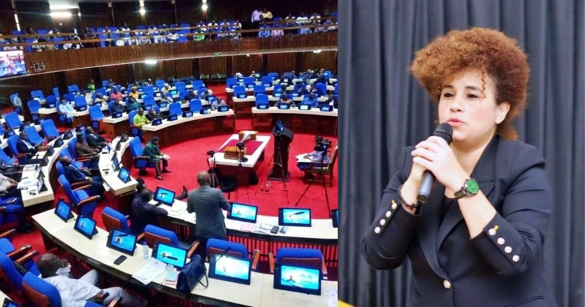 Proposed National Security Bill Threatens Fundamental Rights and Democratic Oversight – ILRAJ Warns