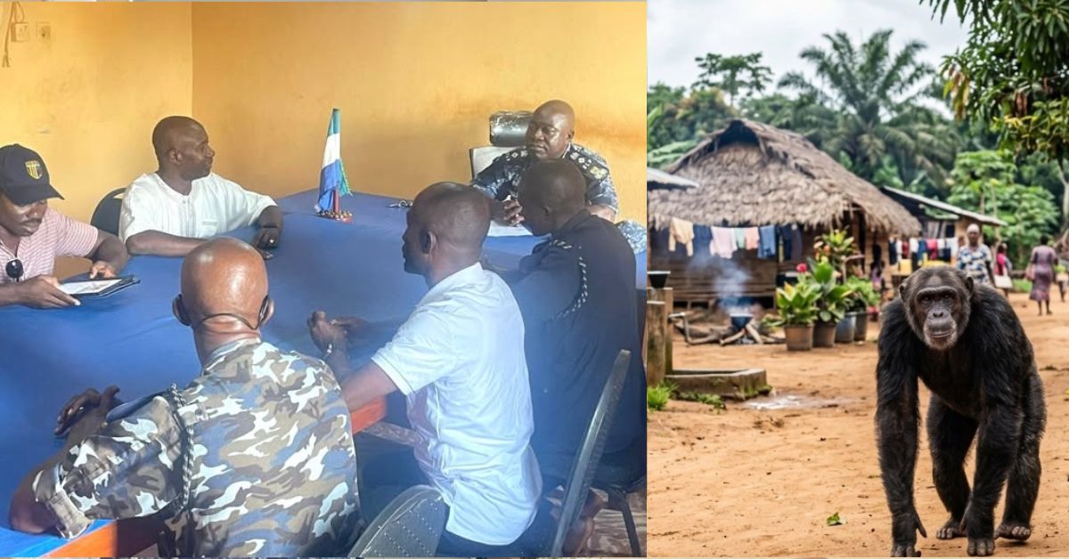 NPPA Boss Visits Mile 91 After Chimpanzee Killed by Residents