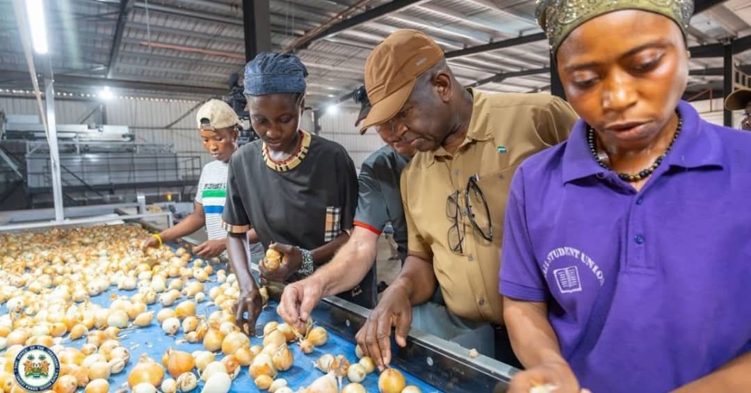 President Bio Visits Pee Cee and Sons Onion Farm, Reaffirms Feed Salone Commitment