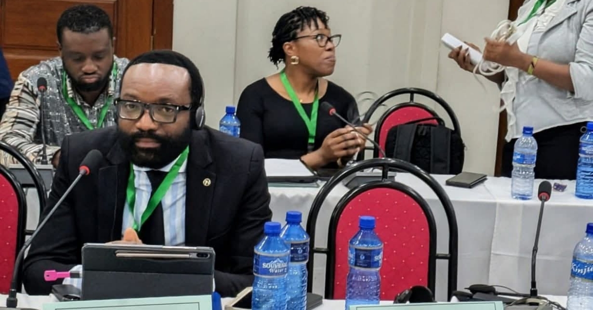 NDMA Deputy Director General Participates in Continental Disaster Risk Reduction Summit