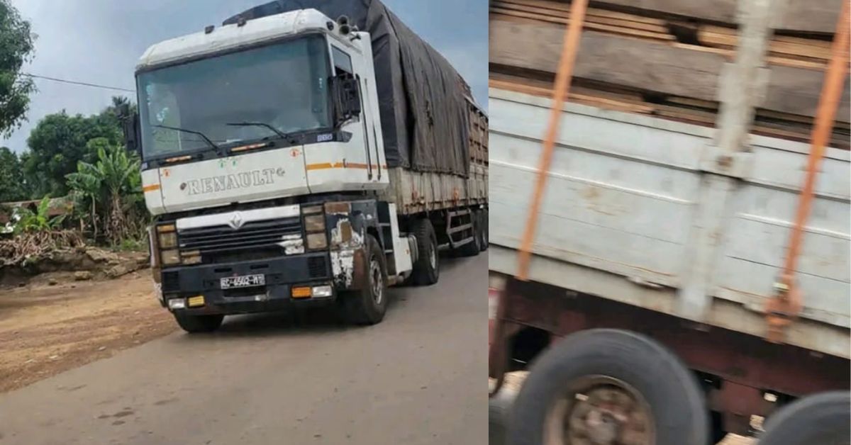 Concern Raised Over Alleged Large-Scale Timber Smuggling from Kailahun to Guinea