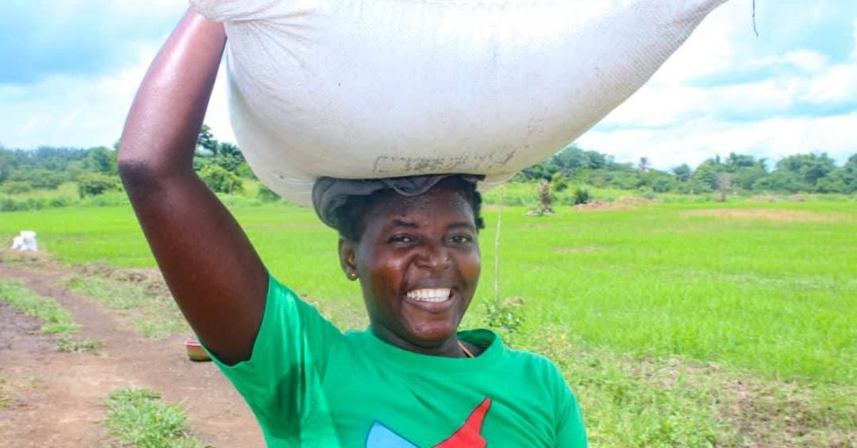 Ministry of Agriculture Monitors Fertilizer Distribution to Rice Farmers in Bonthe District