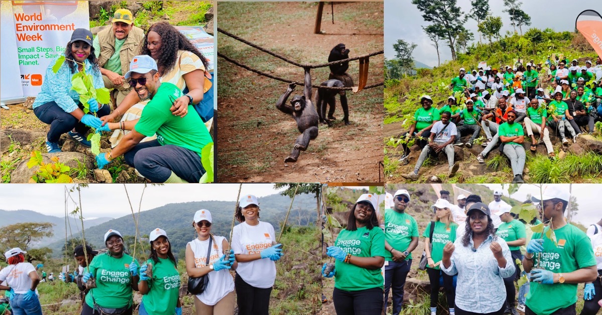 Orange Sierra Leone, Tacugama Plant 5,000 Trees at National Park to Mark World Environment Day 2026