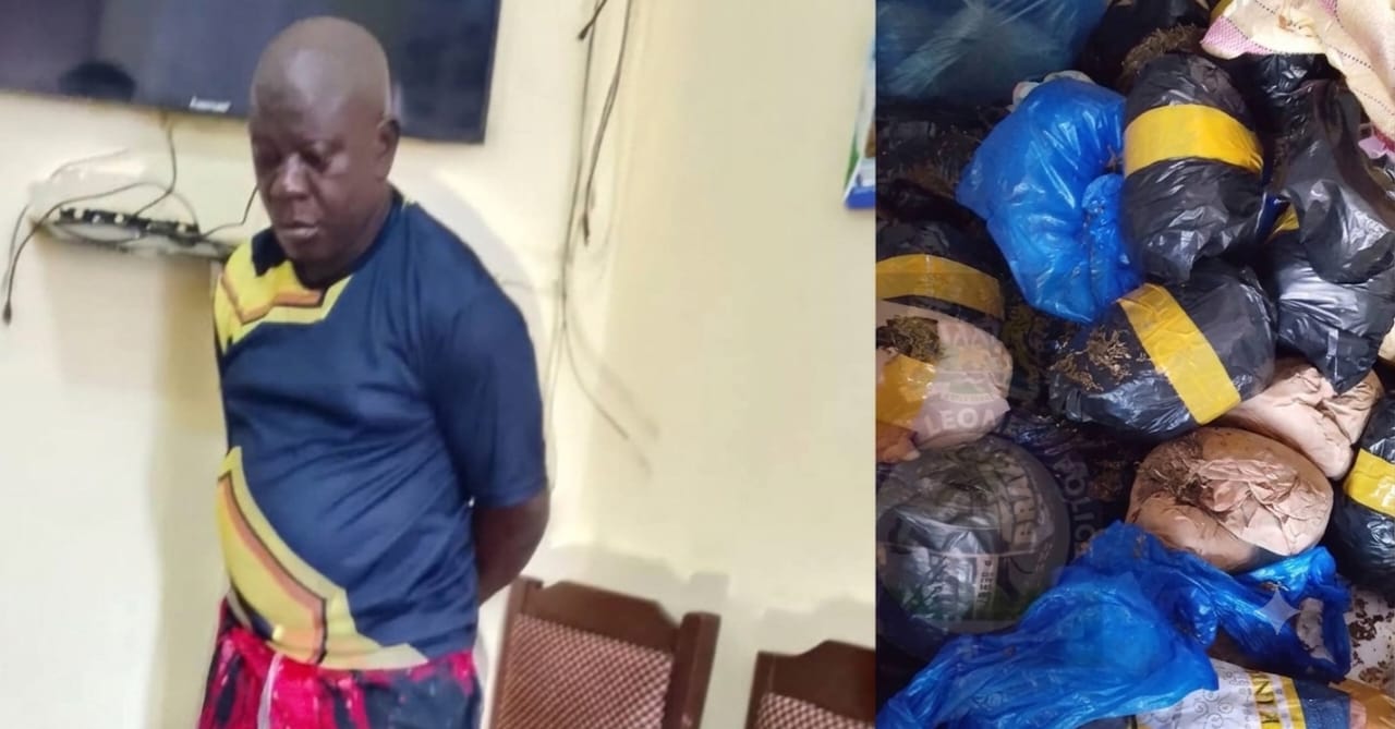 Police Arrest Notorious Drug Dealer with Large Quantity of Cannabis and Tramadol in Koidu
