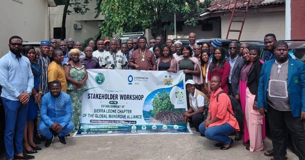 NPAA Launches Sierra Leone Chapter of Global Mangrove Alliance to Boost Wetland Conservation