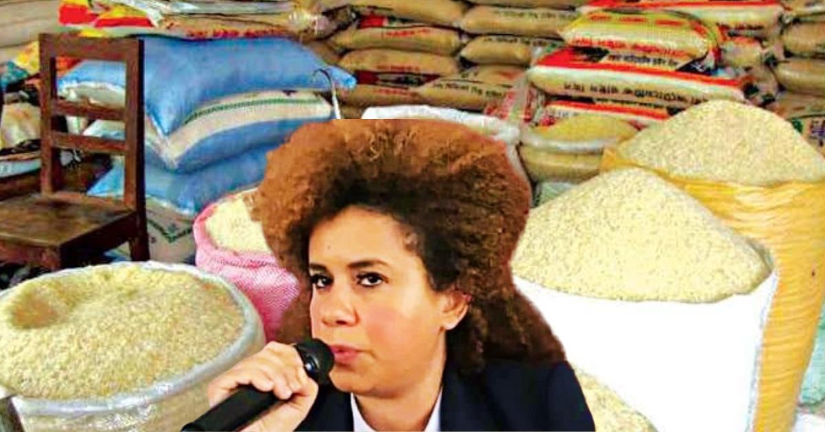 Basita Michael, Criticises Government’s Cost of Living Comparisons