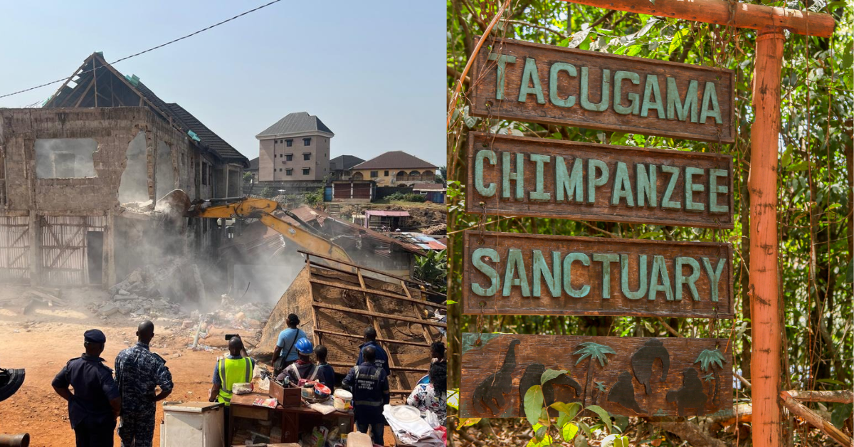 President Bio Orders Demolition of Illegal Structures Around Tacugama Sanctuary