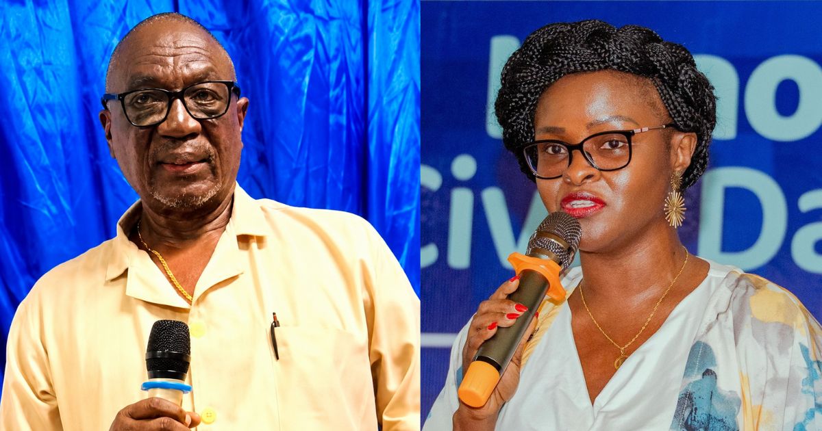 Tertiary Education Commission Chairman Resigns, Accuses Education Ministry of Undermining Commission