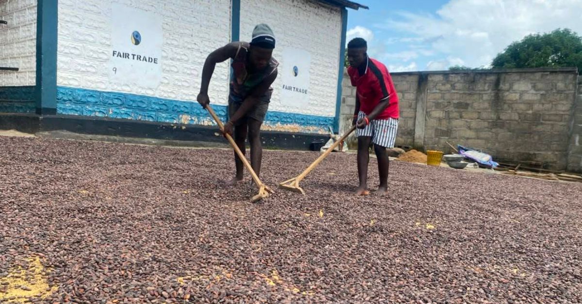 Sierra Leone’s Agri-MSMEs Drive Rural Growth Through Finance Access