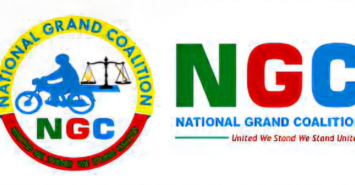 NGC Still Exists but Faces Serious Internal Challenges, Party Member Says