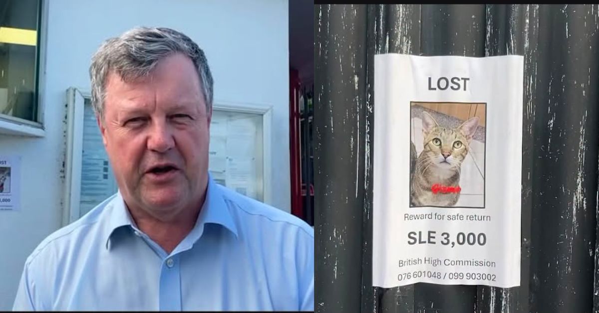 British High Commission Resident, Andrew Osborn, Appeals for Help to Find Missing Cat