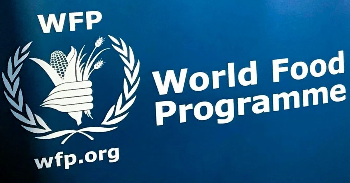 WFP Request for Expression of Interest – Women-Led Enterprise to Manage Food Processing Facility in Makeni 