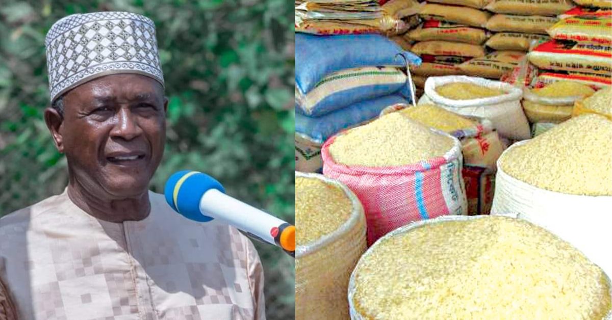 Government Projects Lower Rice Prices as Feed Salone Programme Expands