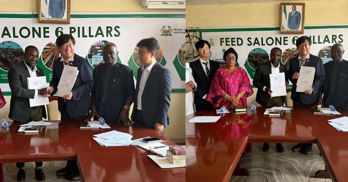 Sierra Leone, South Korea Seal $5.6 Million K-Rice Belt Grant to Boost Rice Production