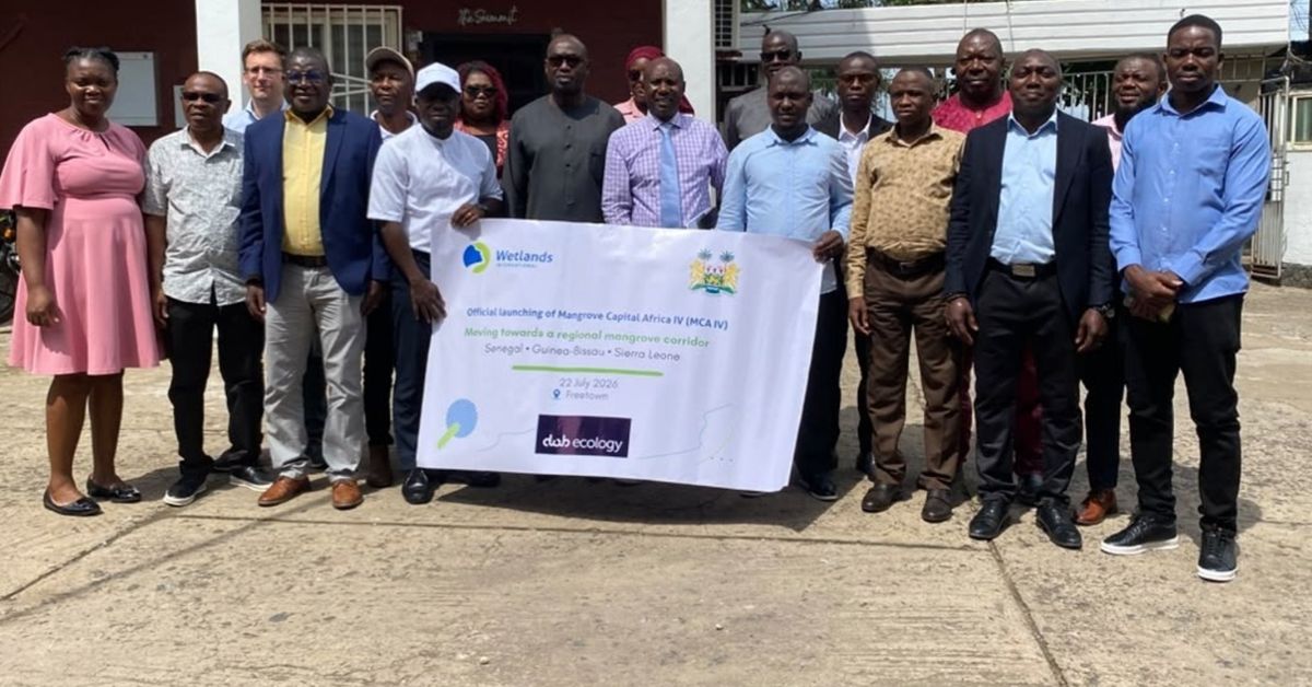 Sierra Leone Joins New Regional Push to Restore Mangroves, Coastal Wetlands