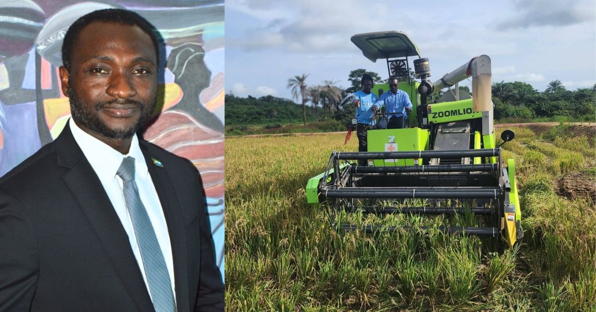 Sierra Leone Harvests Rice in July in Major Food Security Breakthrough