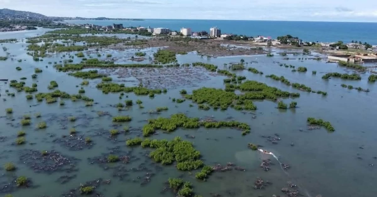 The Agony of Aberdeen Creek: How Much Longer Will We Look Away?