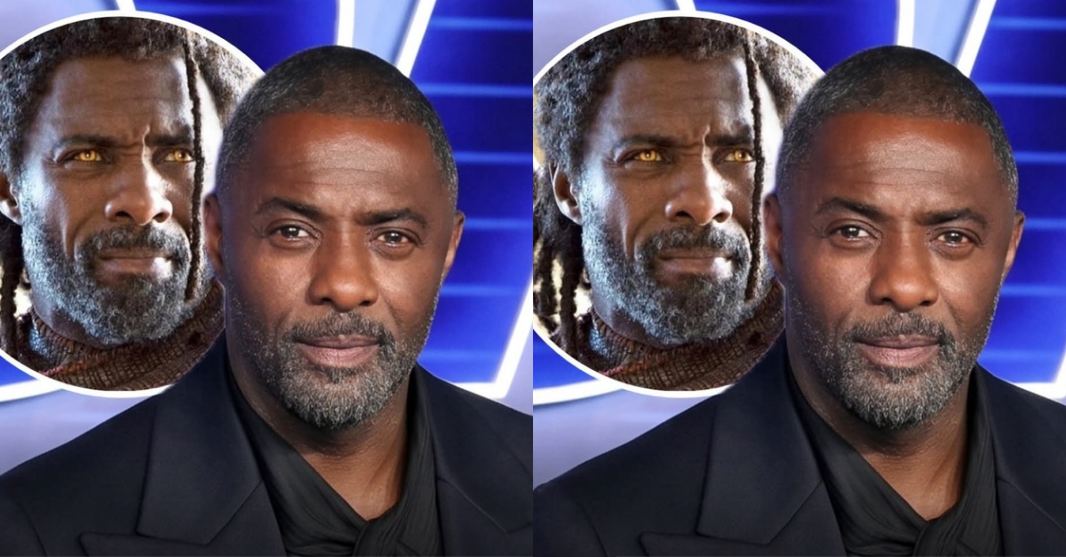 Idris Elba Reveals Plans to Eventually Step Away From Acting