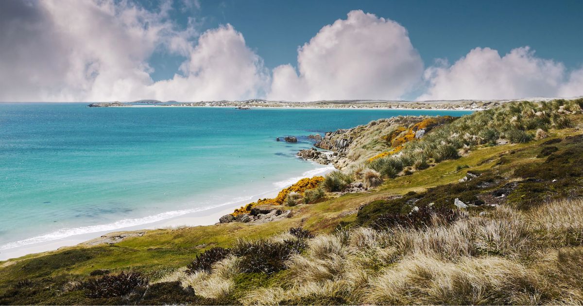 Malvinas: The Strength of a Just Cause