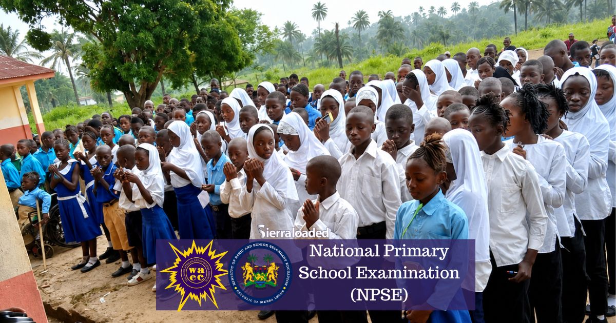 2026 NPSE: Meet The Top Five Best Performing Candidates in Sierra Leone