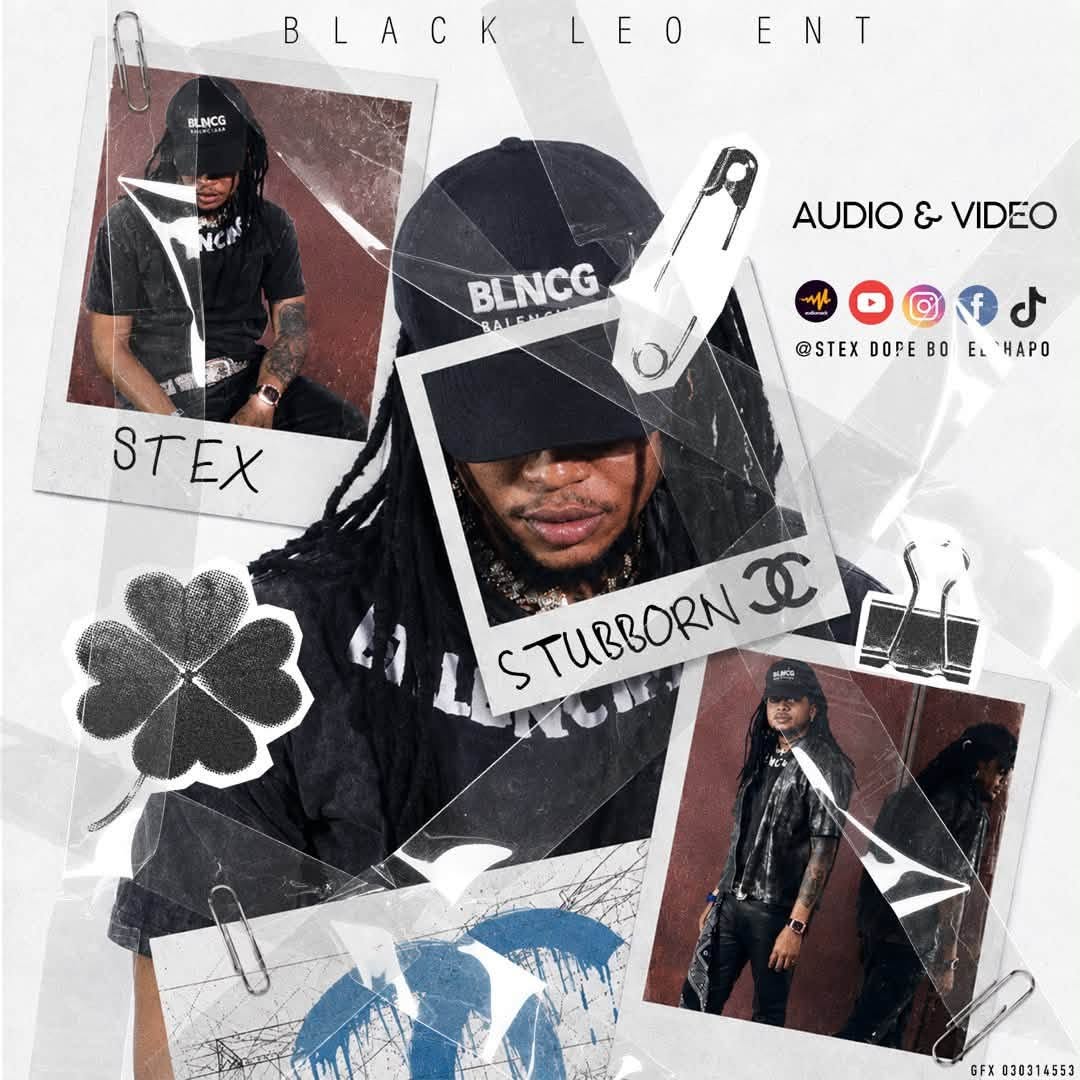 Stex – Stubborn
