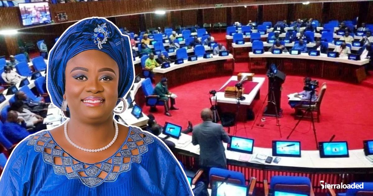 Sylvia Blyden Proffers New Plan to Increase Women’s Representation in Parliament Without PR System