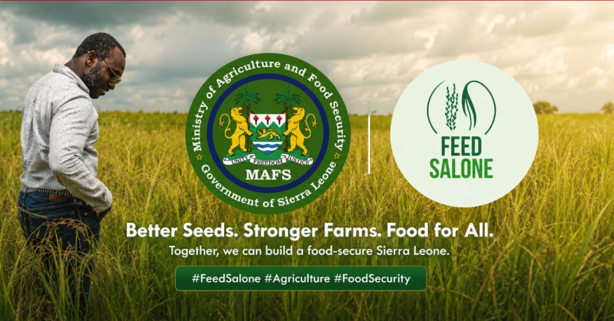 Sierra Leone School Feeding Programme Gets 1 Million Kg Local Rice Boost