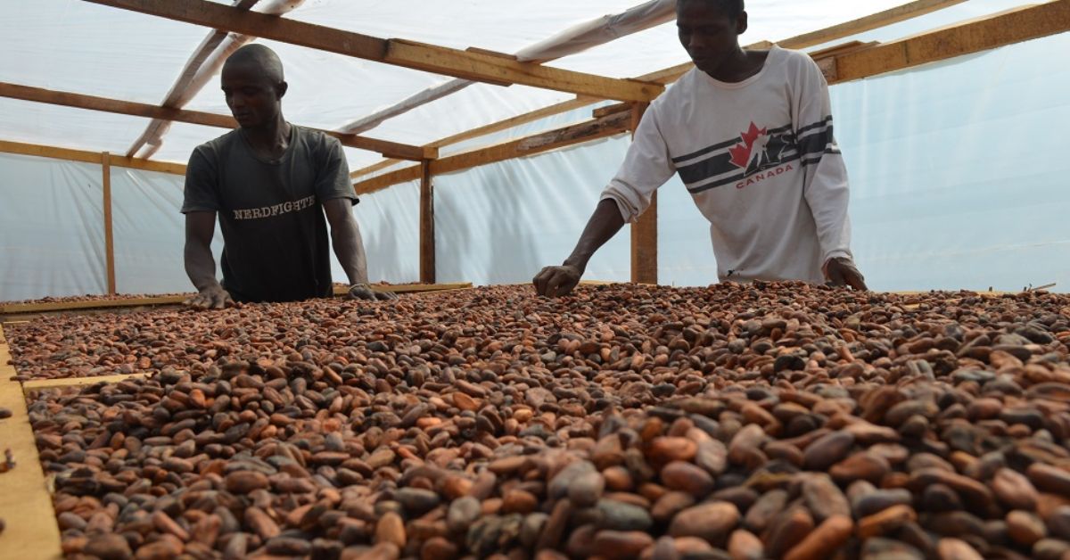 PMB, Exporters Advance Licensing Fee Overhaul Amid Wider Regulatory Push