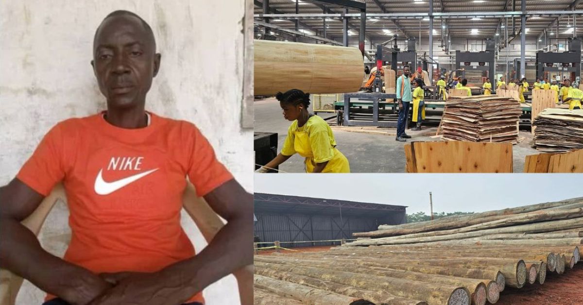 Miro Forestry Responds to Claims Surrounding Employee’s Death