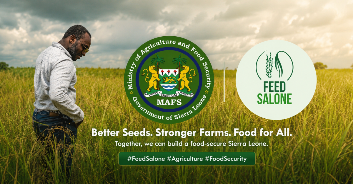 12 Sierra Leonean Businesses Seek $141 Million to Expand Agricultural Operations