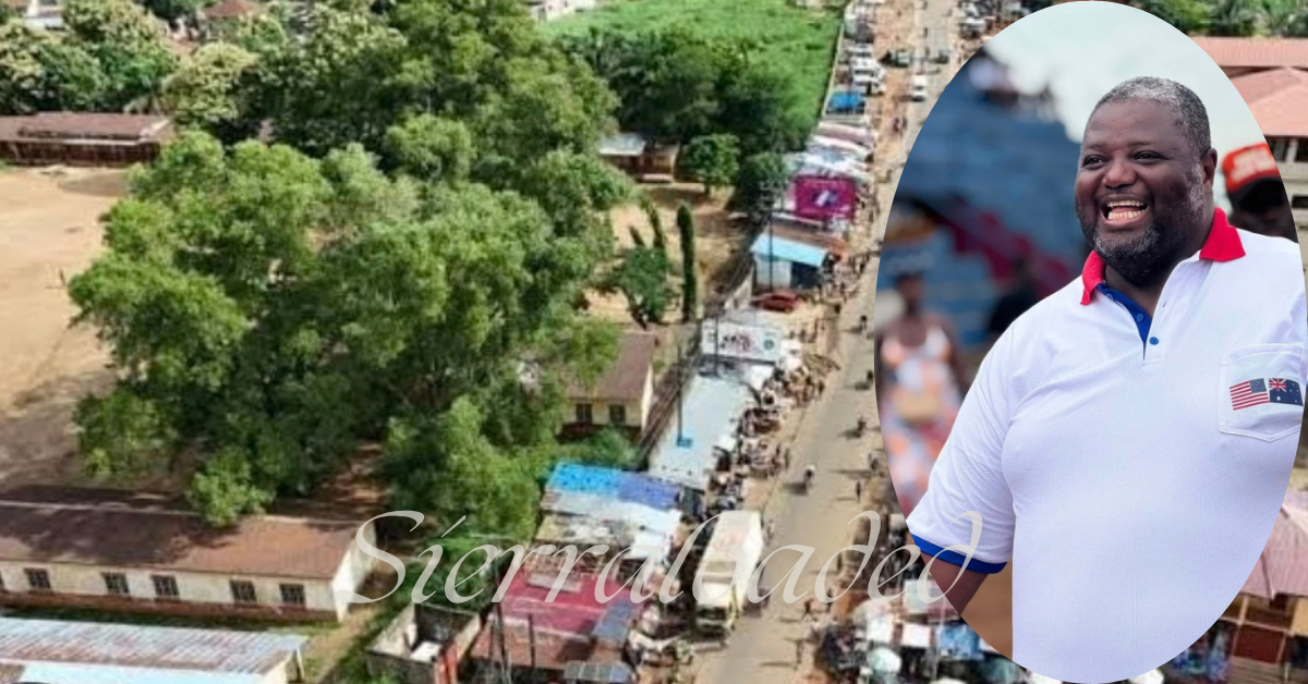 Cole Calls for Land Access as Waterloo Roadside Trading Persists