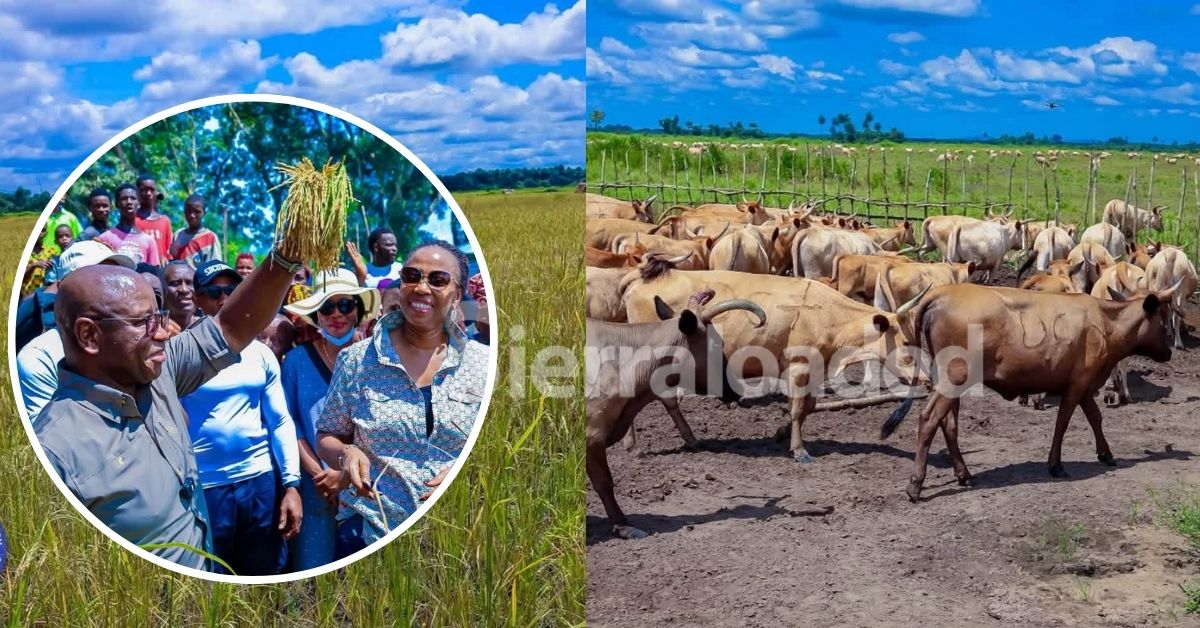 President Bio, First Lady Showcase Private Farm Investments in Bonthe to Boost Feed Salone