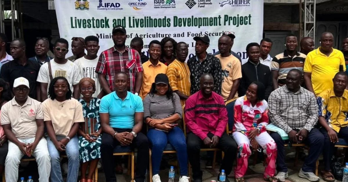 LLDP Intensifies Drive for Better Project Monitoring and Reporting