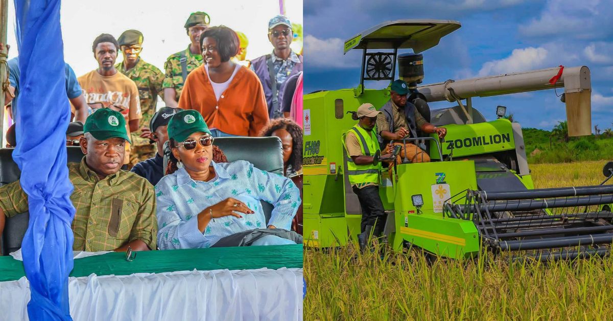 President Bio, First Lady Join Military Rice Harvest in Moyamba